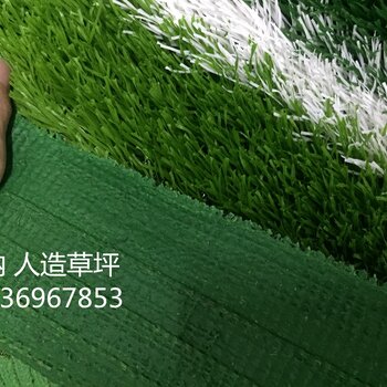 北京足球场人造草坪、仿真草坪免费拿样全国发